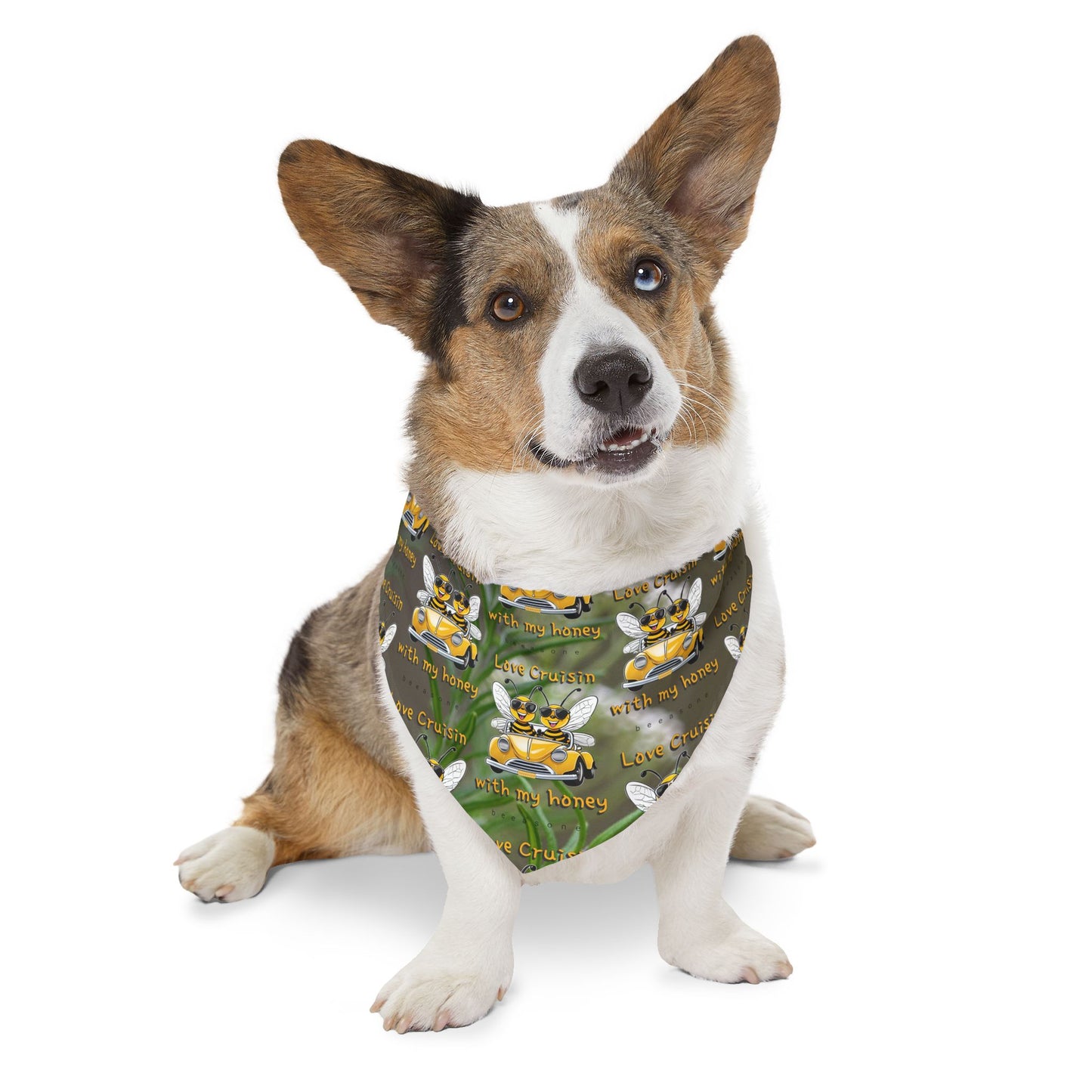 Special couple's super cool furry friend pet bandana collar - includes adjustable buckle up black collar