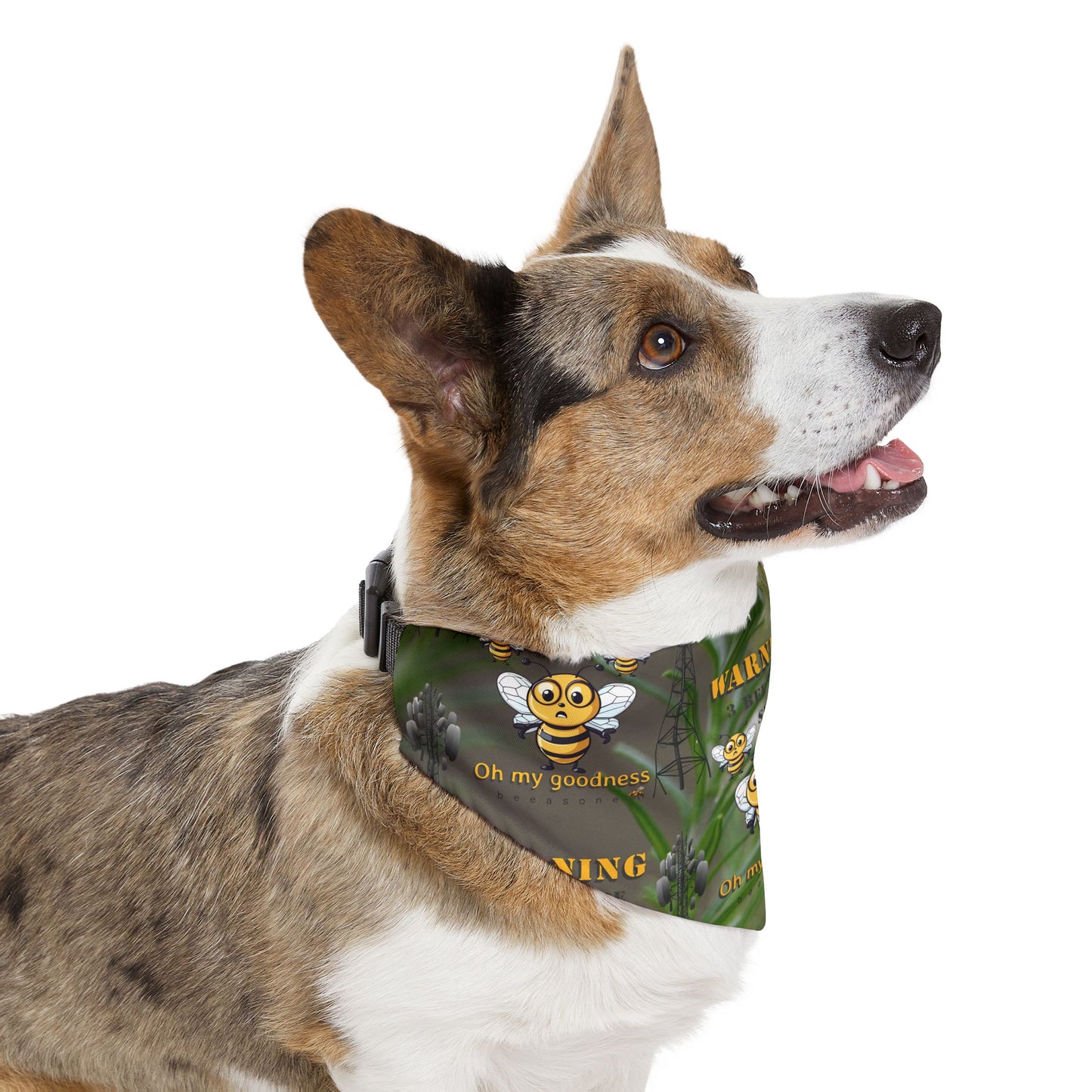 WARNING - 3 Bee to be shut down beeasone bandana collar- includes adjustable buckle up black collar