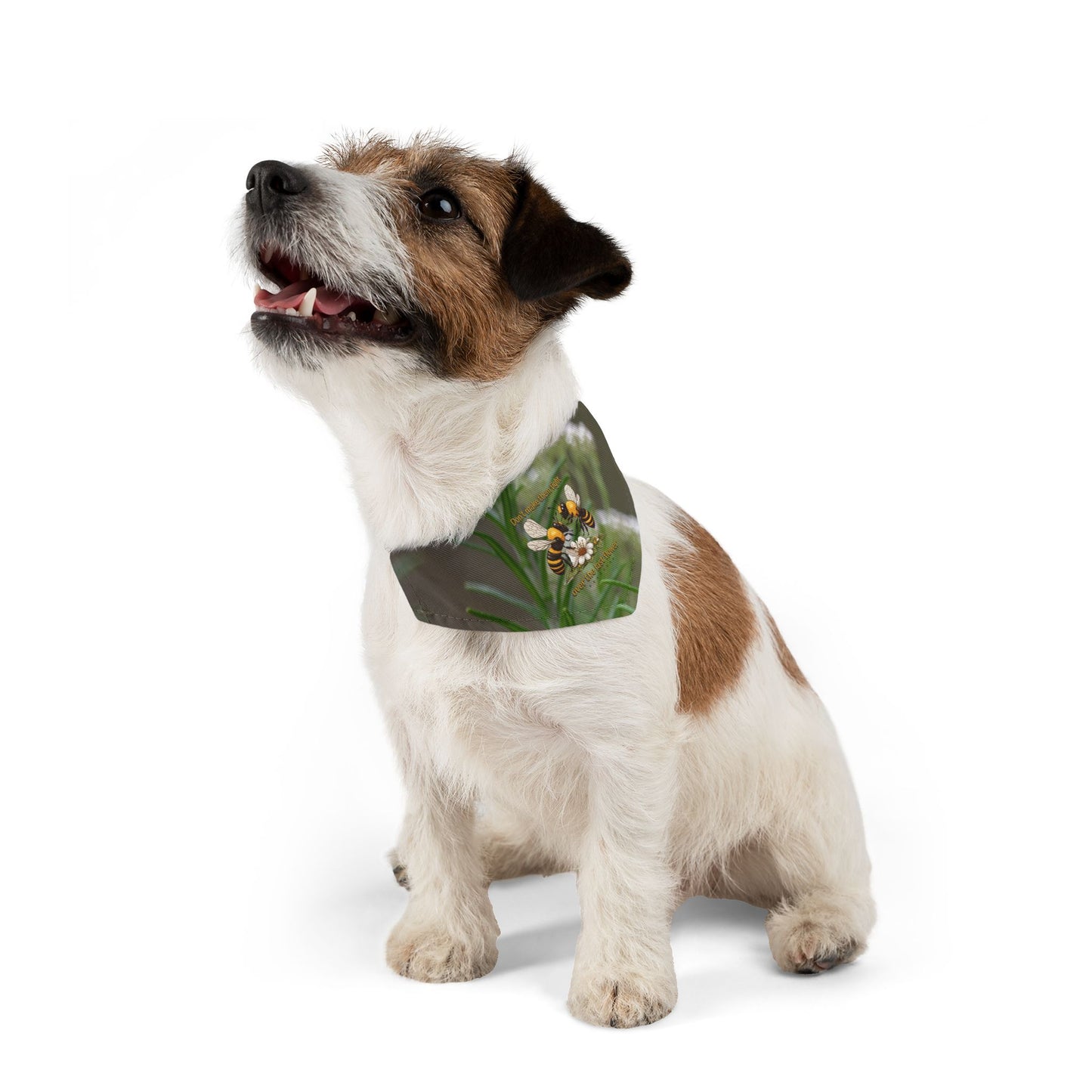 Caring Pet Bandana collar - includes adjustable buckle up black collar