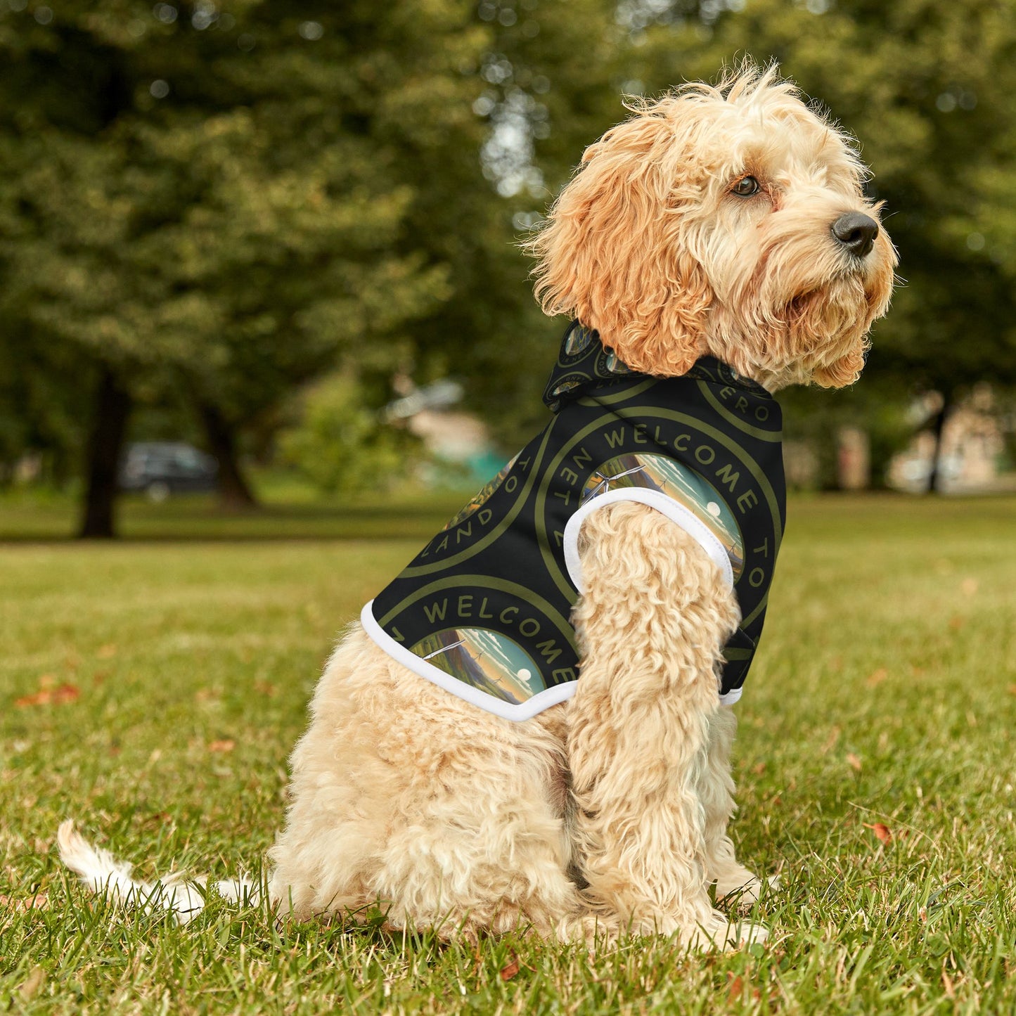 Pet Hoodie - Welcome to Net Zero Land v7