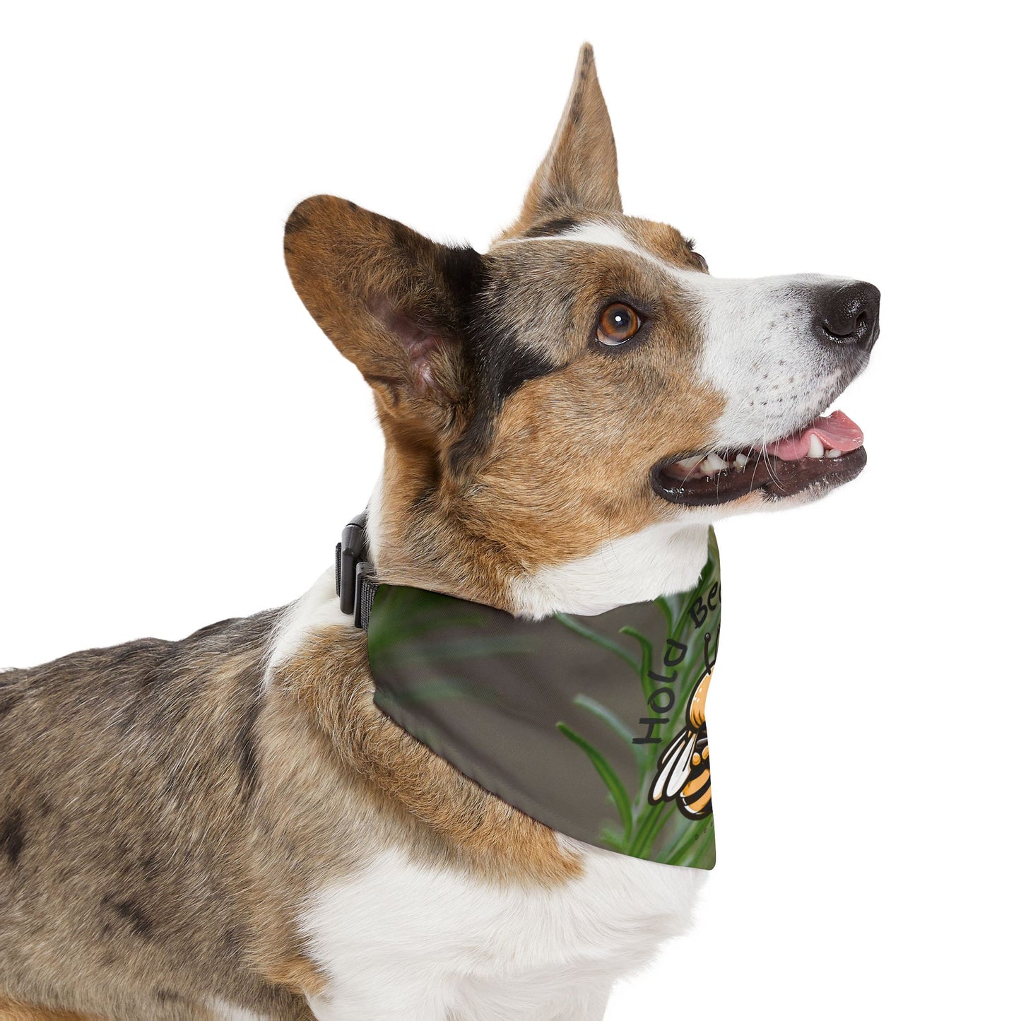 Hold bee close special couple's bandana collar for their fluffy bundle of joy (Includes adjustable buckle up black collar)