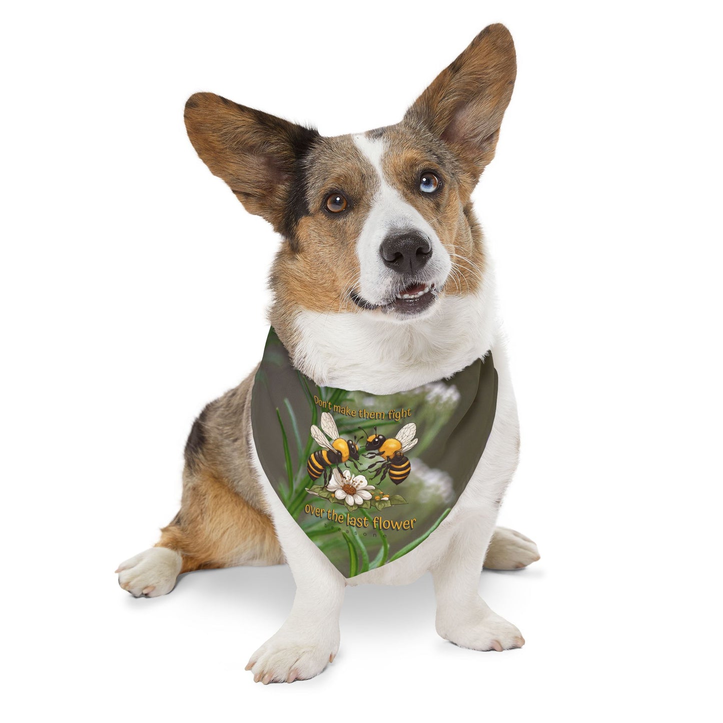 Caring Pet Bandana collar - includes adjustable buckle up black collar