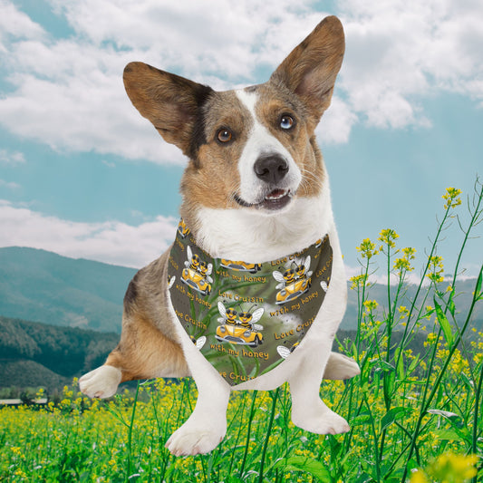 Special couple's super cool furry friend pet bandana collar - includes adjustable buckle up black collar