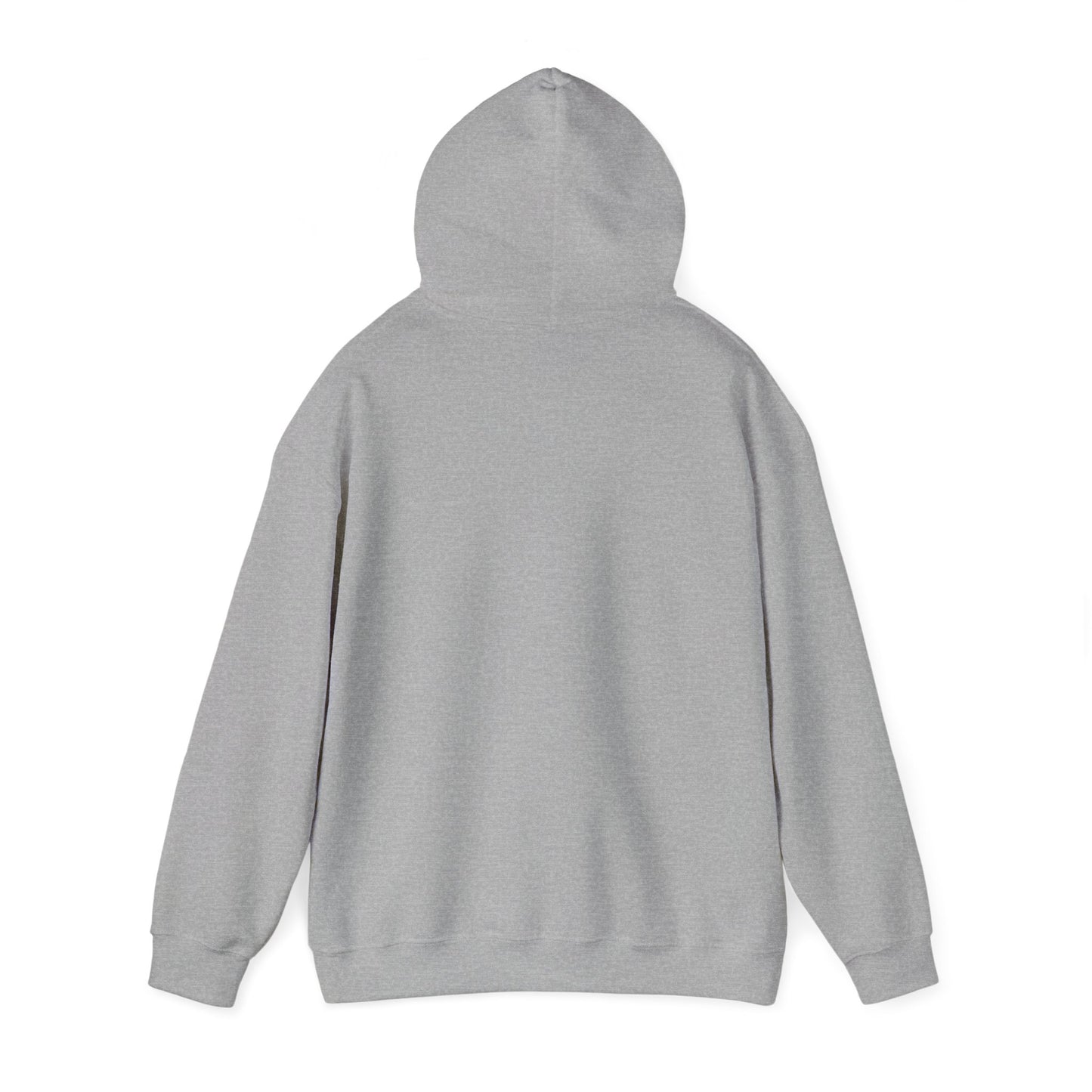 Net Zero Land - v6 - MF Hoodie