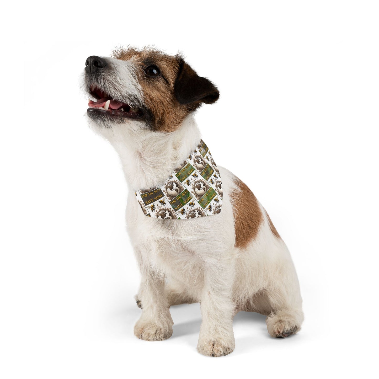 Sophisticated planet loving dog, cat, or ferret pet bandana - includes adjustable buckle up black collar