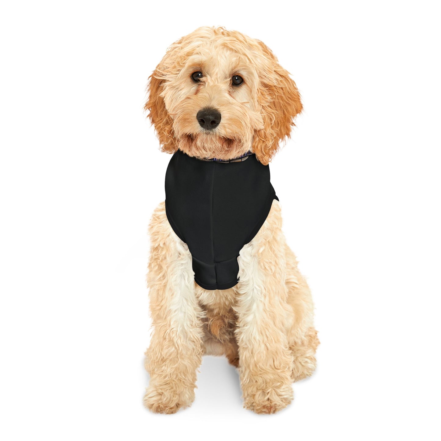 Pet Hoodie - Lockdown Kids - Group of unhappy but freeish people - 2025 edition