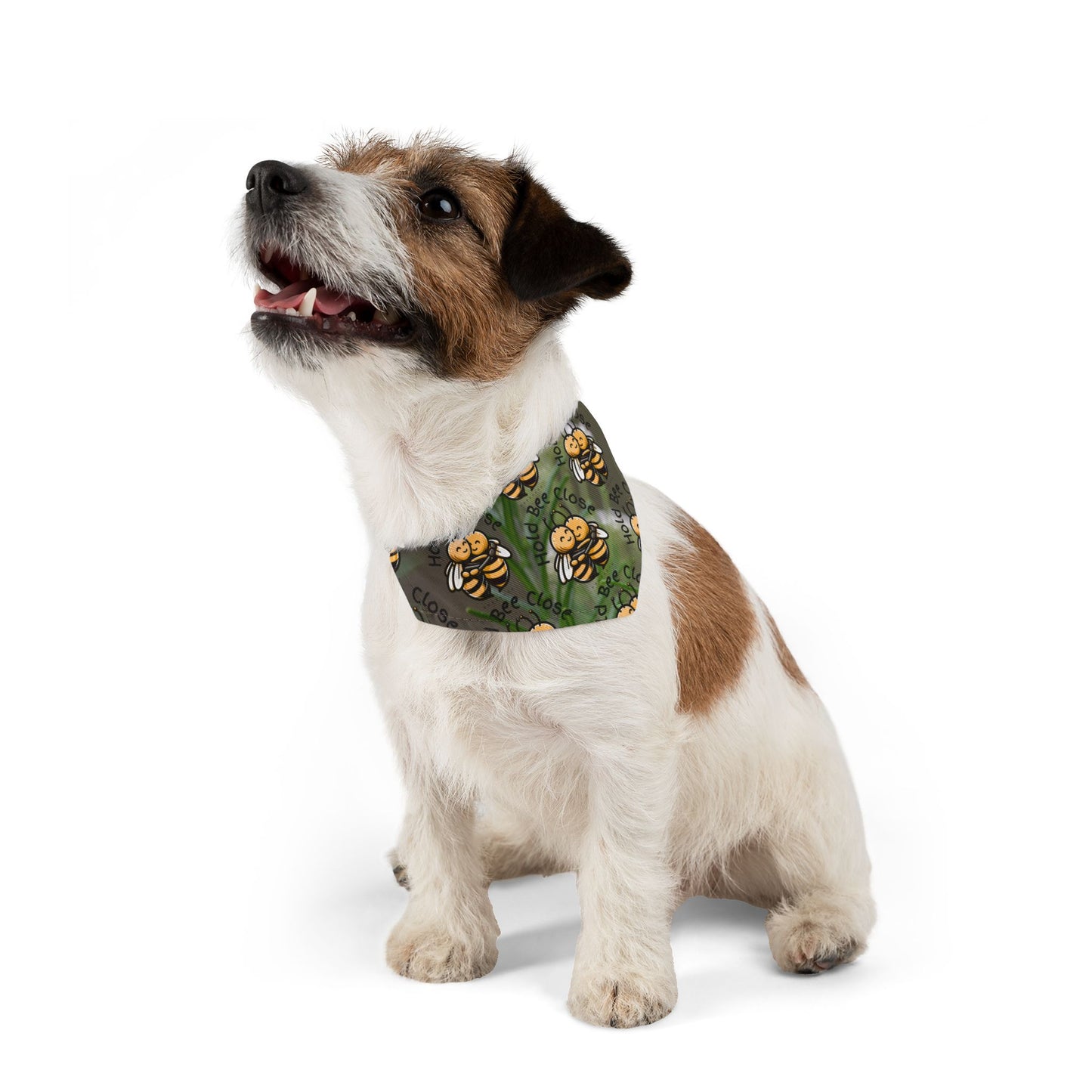 Hold bee tight special couple's bandana for their fluffy bundle of joy (Includes adjustable buckle up black collar)