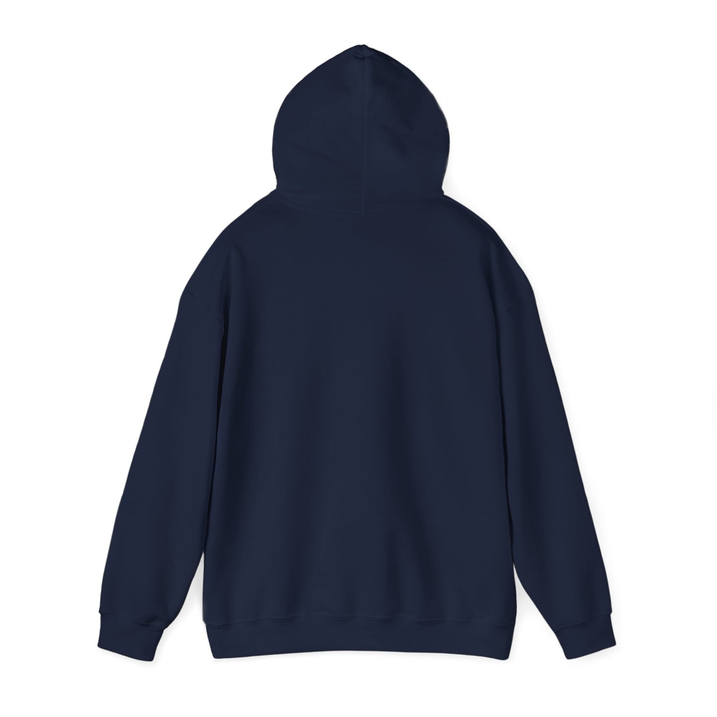 Net Zero Land - v10 - MF Hoodie