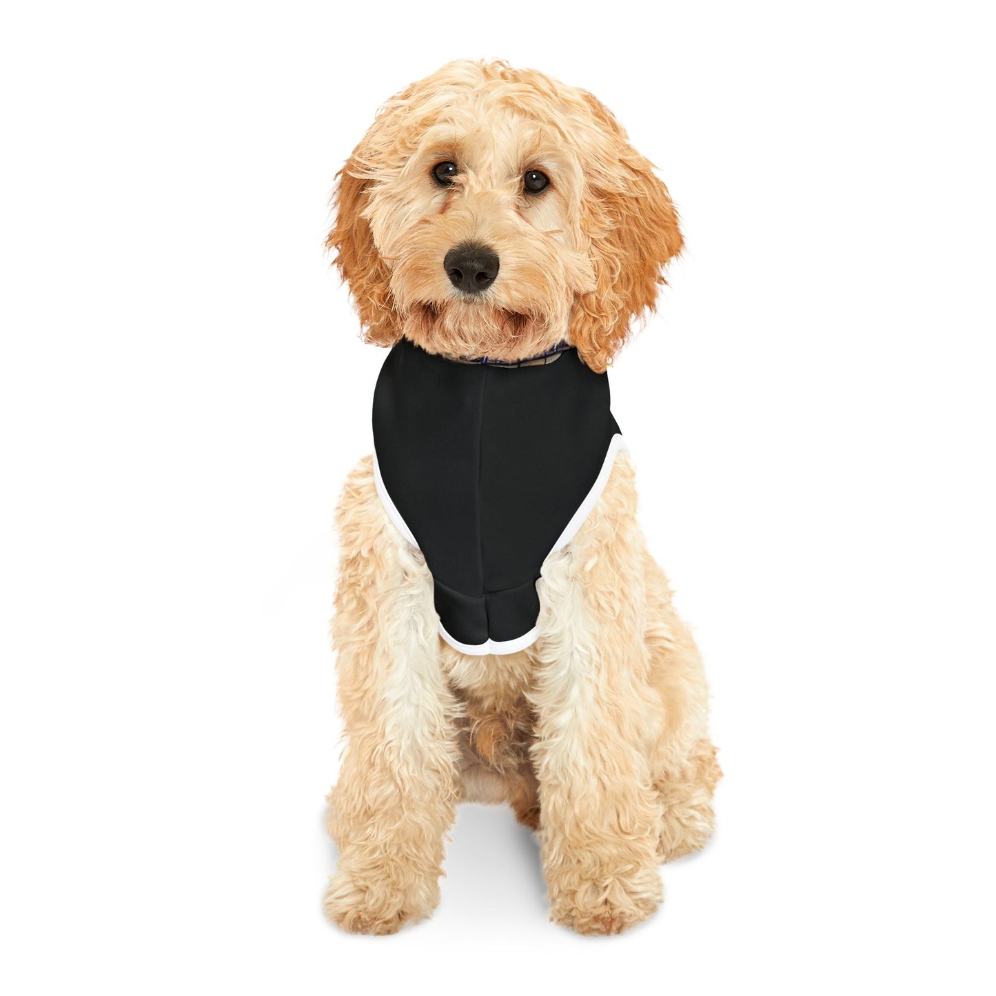 Pet Hoodie - Lockdown Kids - Group of unhappy but freeish people - 2025 edition
