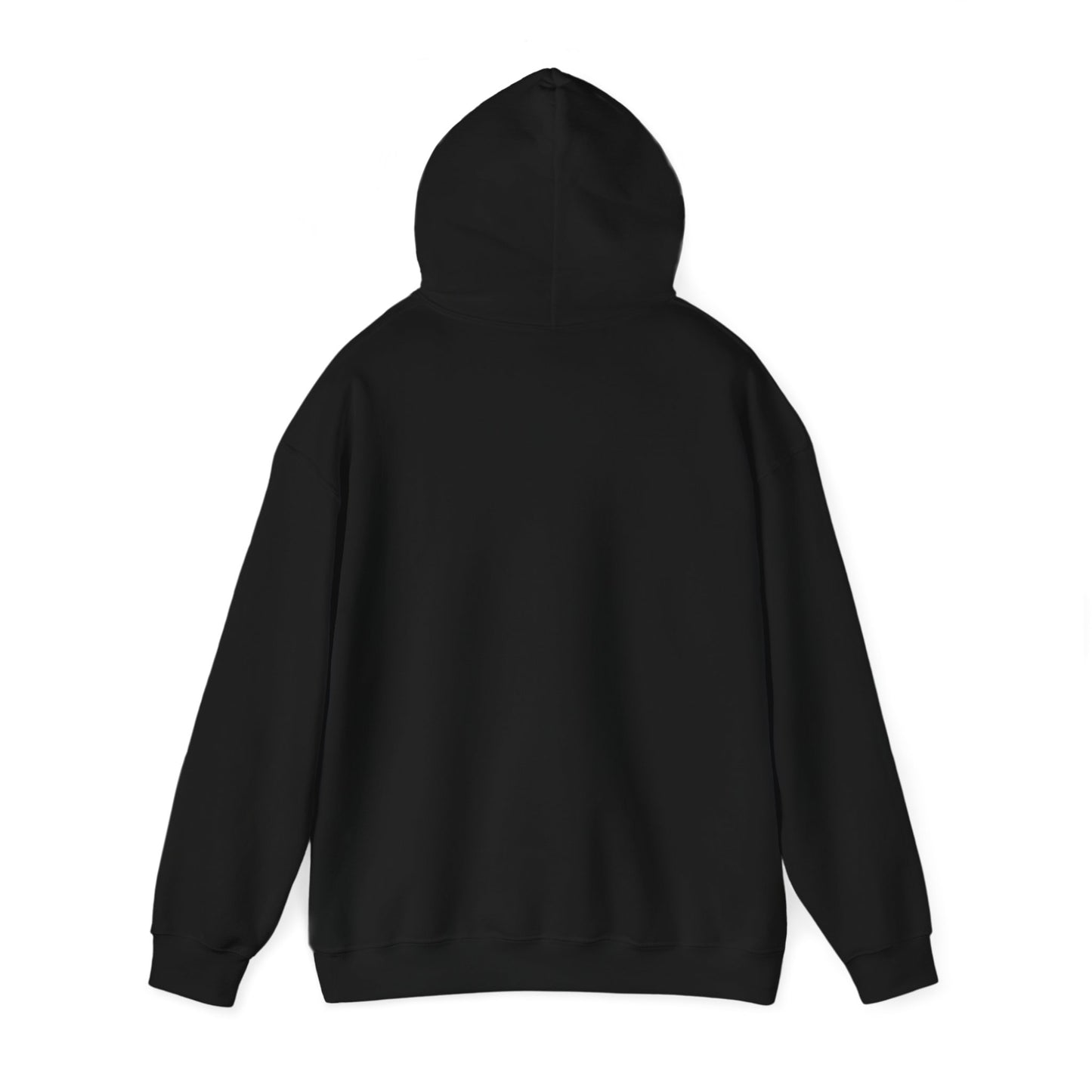 AI - Annihilation Initiated Txt Hooded Sweatshirt