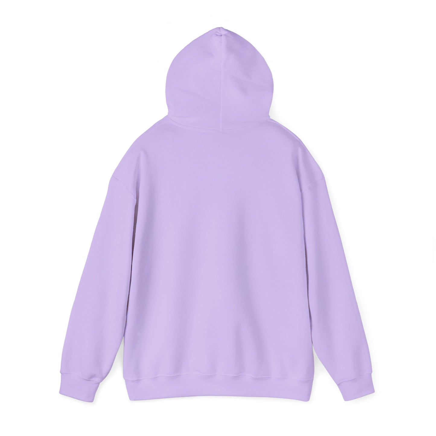 Don't bee a bully hoodie - 12 soft colors available